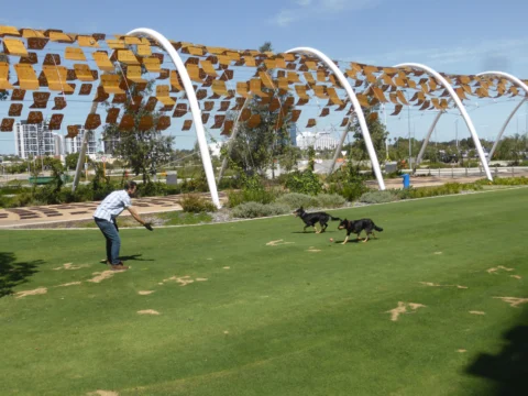 P1200042 Archival image from Scott’s Australia – Lawn Builder Range