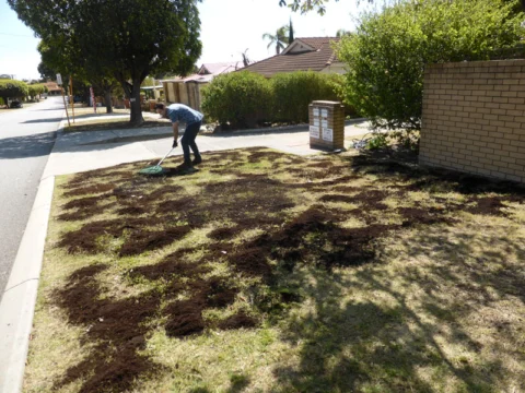 P1200233 Archival image from Scott’s Australia – Lawn Builder