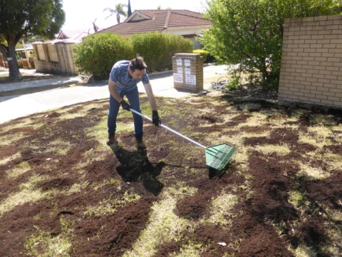P1200234 Archival image from Scott’s Australia – Lawn Builder