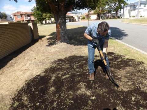 P1200248 Archival image from Scott’s Australia – Lawn Builder
