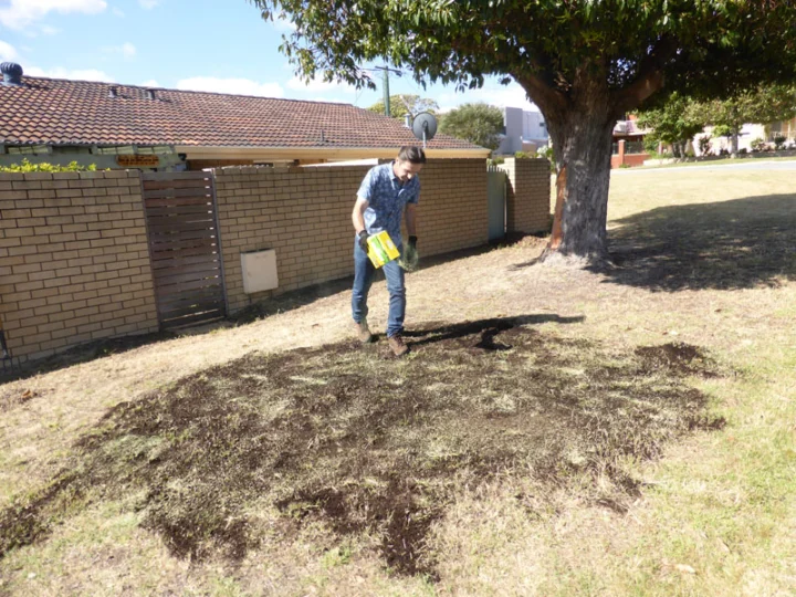 P1200251 Archival image from Scott’s Australia – Lawn Builder