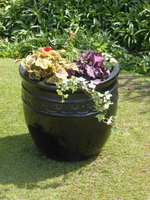 P1200616 Archival image from Scott’s Australia – Osmocote Organics