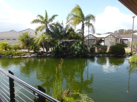 P1200741 Archival image from Arcadia Waters – Maddington