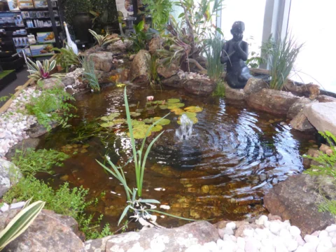 P1200849 Archival image from Living Ponds #2
