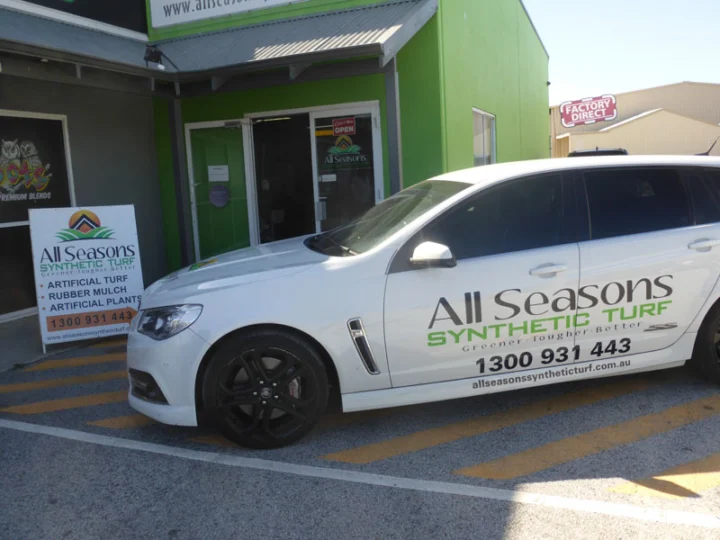 All Seasons Synthetic Turf #2