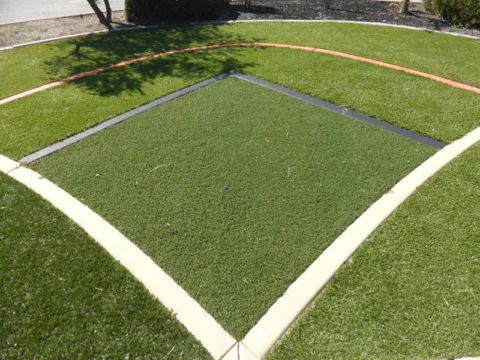 P1210052 Archival image from All Seasons Synthetic Turf #2
