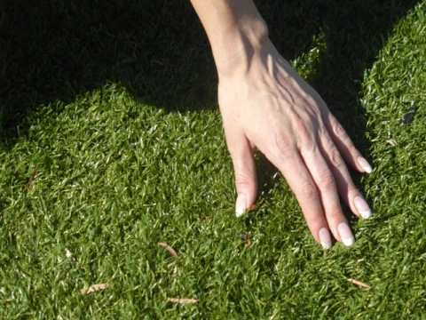 P1210053 Archival image from All Seasons Synthetic Turf #2