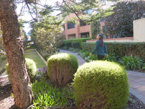 Archival image from St Ives Retirement Living – Centro, Jolimont. ‘A’