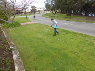 P1210971 Archival image from Evergreen Garden Care – Australia