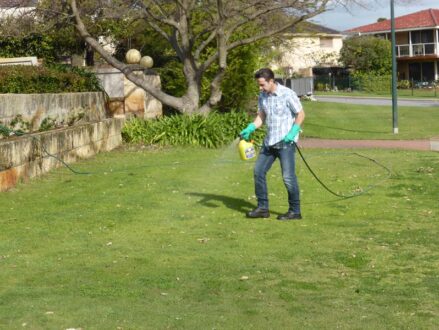 P1210976 Archival image from Evergreen Garden Care – Australia