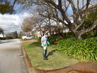 P1210986 Archival image from Evergreen Garden Care – Australia