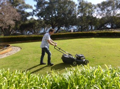 P1210989 Archival image from Evergreen Garden Care – Australia