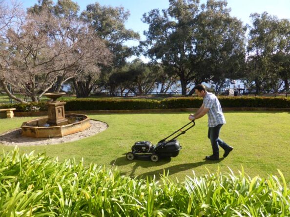 P1210990 Archival image from Evergreen Garden Care – Australia