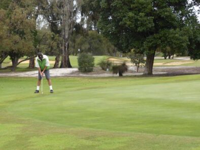 P1220140 Archival image from Scott’s Australia – Lawn Builder + Wetting Agent