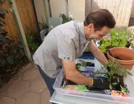 Richgro – Grow Bag