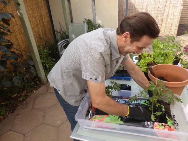 Richgro – Grow Bag