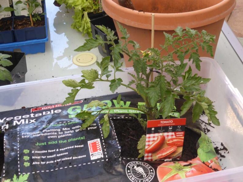 P1220254 Archival image from Richgro – Grow Bag