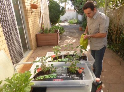 P1220268 Archival image from Richgro – Grow Bag