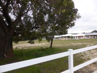 P1220285 Archival image from Byford on The Scarp