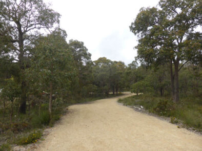 Archival image from The Brook at Byford