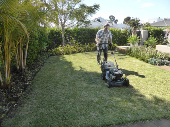 P1220568 Archival image from Scotts Australia – Lawn Builder with Wetting Agent and Everydrop