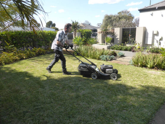 P1220570 Archival image from Scotts Australia – Lawn Builder with Wetting Agent and Everydrop