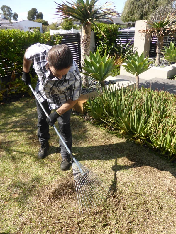 P1220577 Archival image from Scotts Australia – Lawn Builder with Wetting Agent and Everydrop