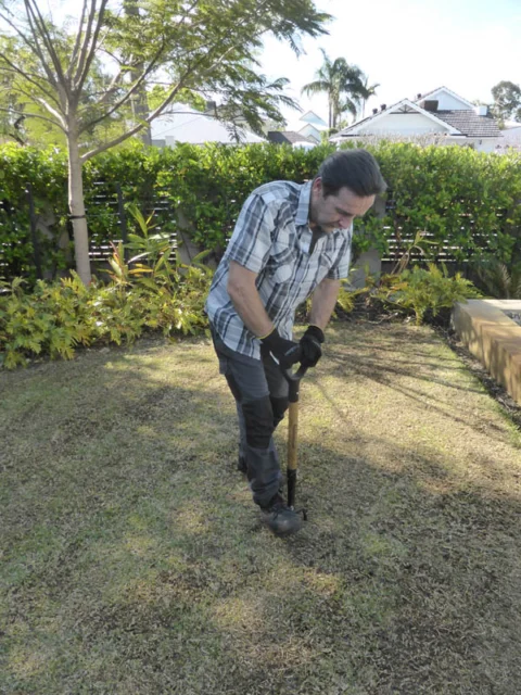P1220591 Archival image from Scotts Australia – Lawn Builder with Wetting Agent and Everydrop