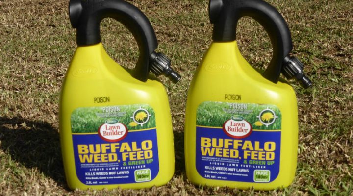 Scotts Australia – Buffalo Weed & Feed and Lawn Builder