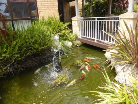 P1230089 Archival image from St Ives Retirement Living – Northshore ‘A’