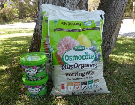 Evergreen Garden Care – Osmocote Organics