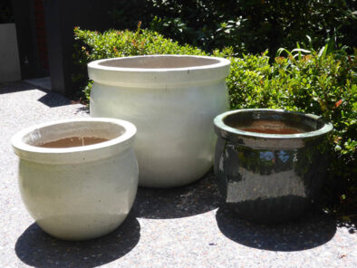 P1230422 Archival image from Evergreen Garden Care – Osmocote Organics