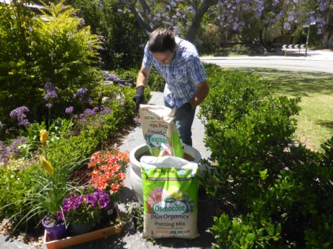 P1230432 Archival image from Evergreen Garden Care – Osmocote Organics