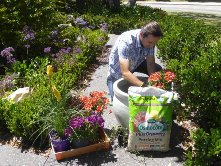 P1230433 Archival image from Evergreen Garden Care – Osmocote Organics