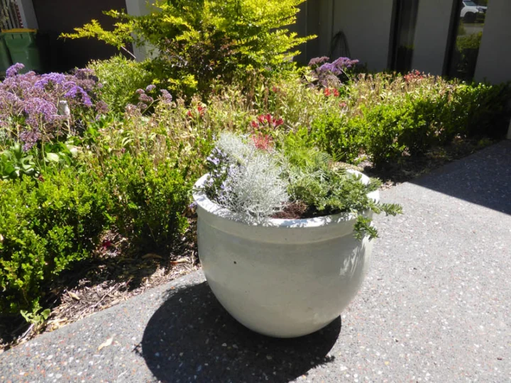 P1230442 Archival image from Evergreen Garden Care – Osmocote Organics