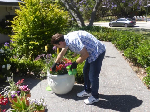 P1230448 Archival image from Evergreen Garden Care – Osmocote Organics