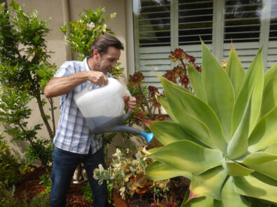 P1230460 Archival image from Seasol – Super Soil Wetter