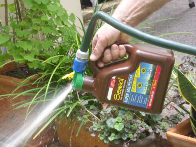 P1230473 Archival image from Seasol – Super Soil Wetter
