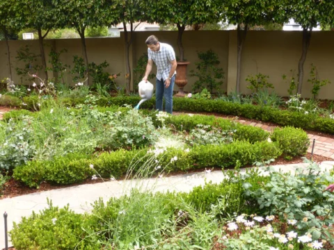 P1230477 Archival image from Seasol – Super Soil Wetter