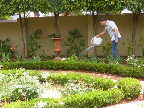 P1230478 Archival image from Seasol – Super Soil Wetter
