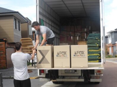 P1250309 Archival image from Fox Removals