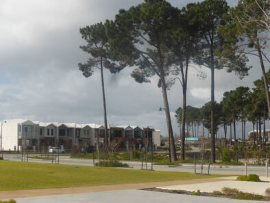 P1250520 Archival image from UDIA WA – 4A
