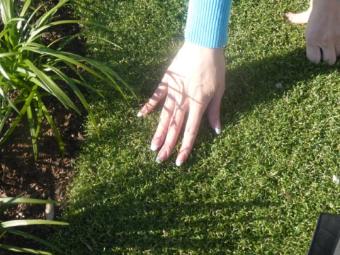 P1250552 Archival image from All Seasons Synthetic Turf ‘A’