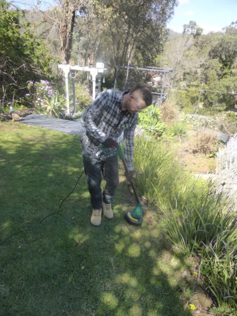 P1250781 Archival image from Wizard Tools – Garden Products – available through Red Dot HOME Midland.