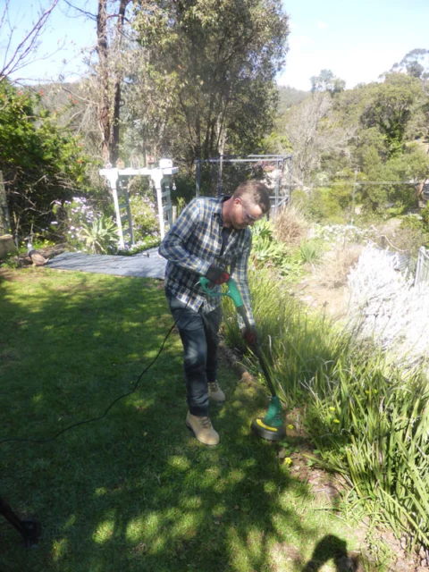 P1250782 Archival image from Wizard Tools – Garden Products – available through Red Dot HOME Midland.