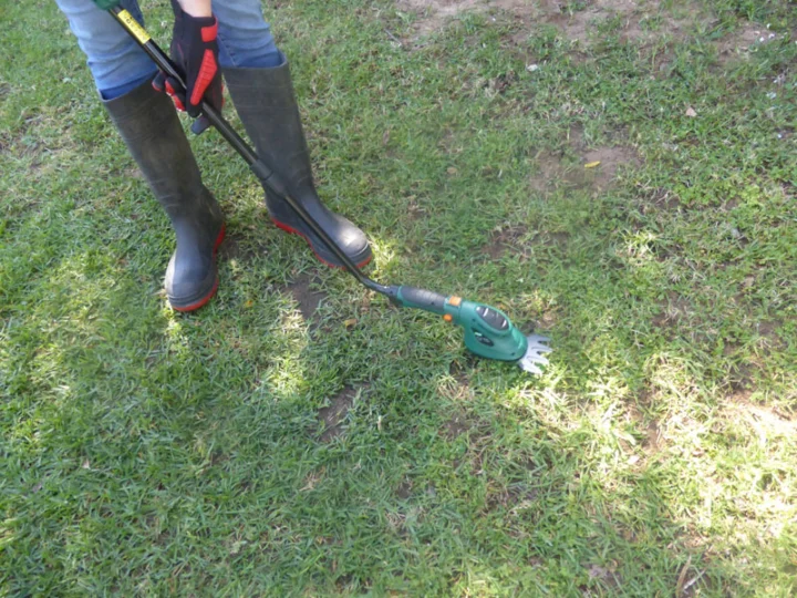 P1250784 Archival image from Wizard Tools – Garden Products – available through Red Dot HOME Midland.