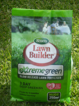 P1250836 Archival image from EVERGREEN – Extreme Green
