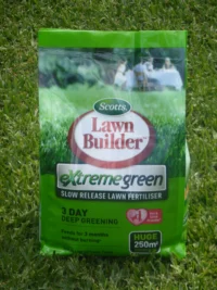 P1250839 Archival image from EVERGREEN – Extreme Green
