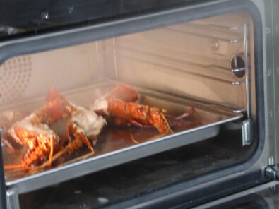 P1250183 Archival image from WINNING APPLIANCES – Steam & Sous Vide Cooking
