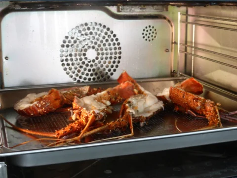 P1250185 Archival image from WINNING APPLIANCES – Steam & Sous Vide Cooking